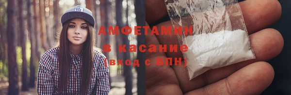 крисы Ельня