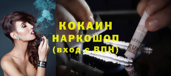крисы Ельня