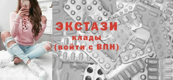 крисы Ельня