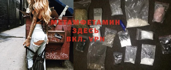 крисы Ельня