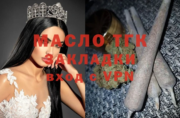 крисы Ельня