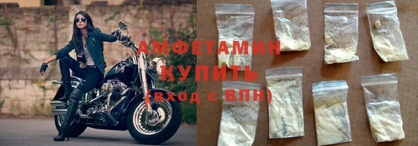 крисы Ельня