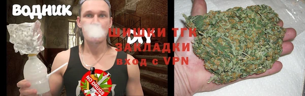 крисы Ельня