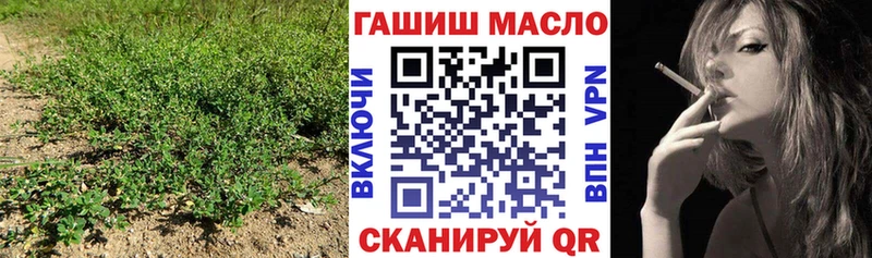 ТГК Wax  Купить где  Сатка 